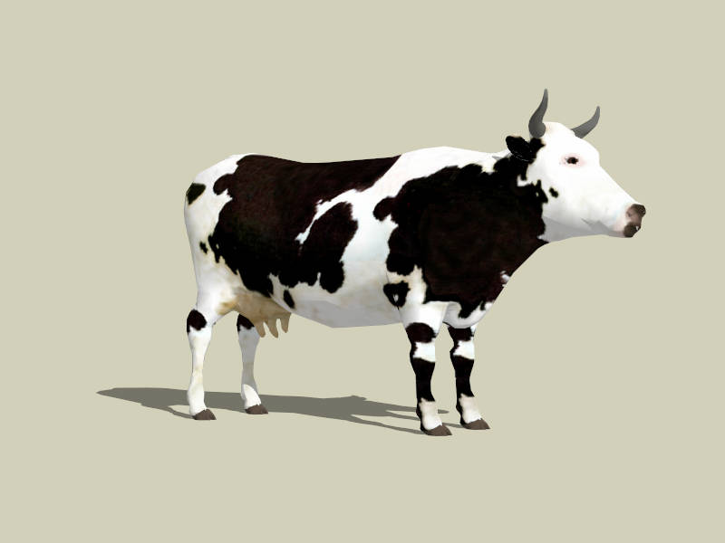 Black and White Dairy Cow sketchup model preview - SketchupBox