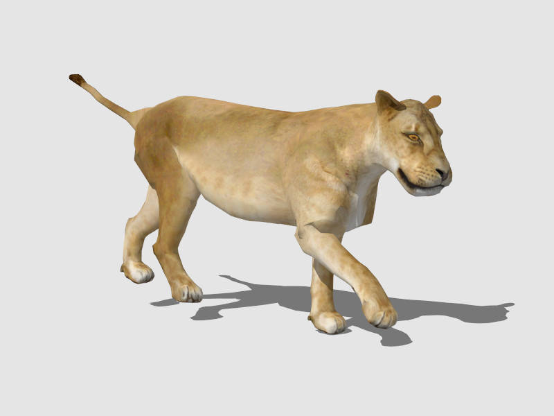 Lioness Female Lion sketchup model preview - SketchupBox