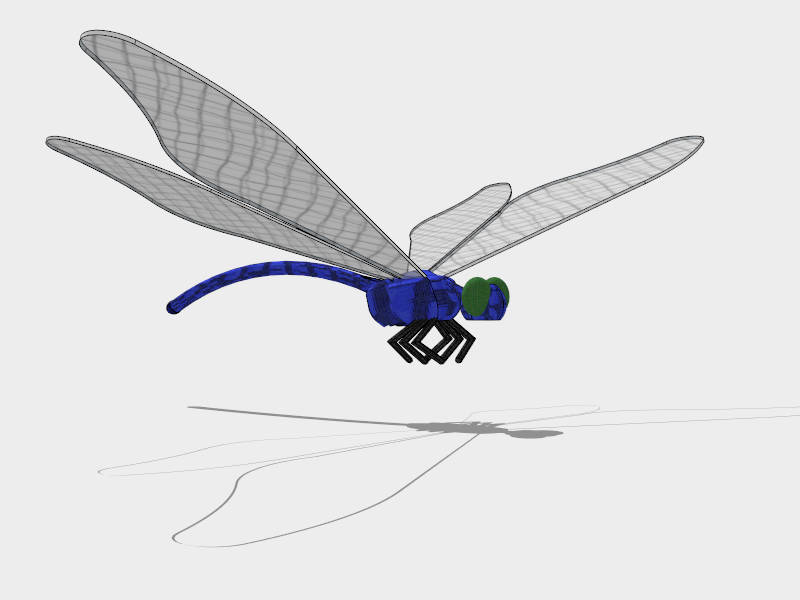 Blue Dragonfly sketchup model preview - SketchupBox