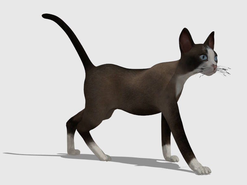 Brown Oriental Cat sketchup model preview - SketchupBox