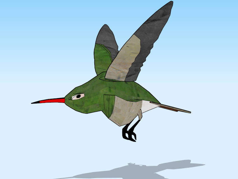 Hummingbird sketchup model preview - SketchupBox