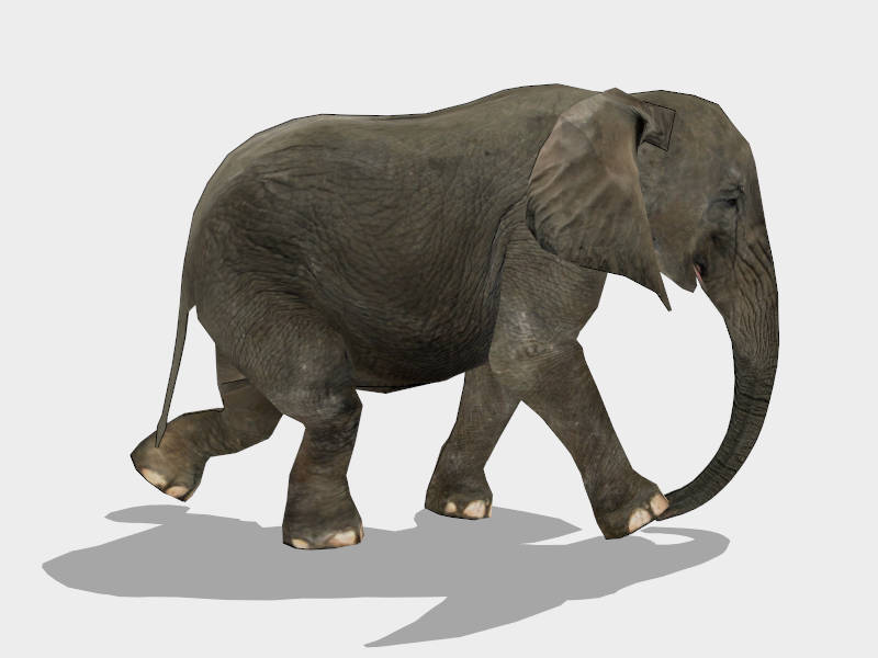 Elephant Running sketchup model preview - SketchupBox