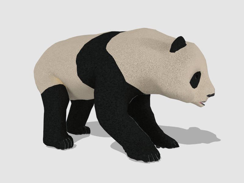 Giant Panda sketchup model preview - SketchupBox