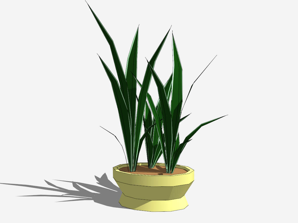 Potted Snake Plant sketchup model preview - SketchupBox