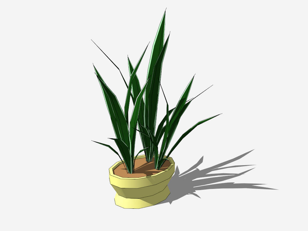 Potted Snake Plant sketchup model preview - SketchupBox