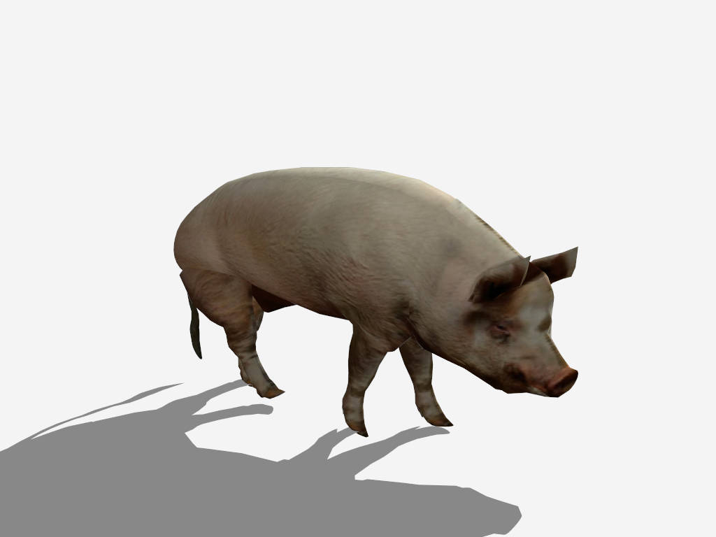 White Pig sketchup model preview - SketchupBox