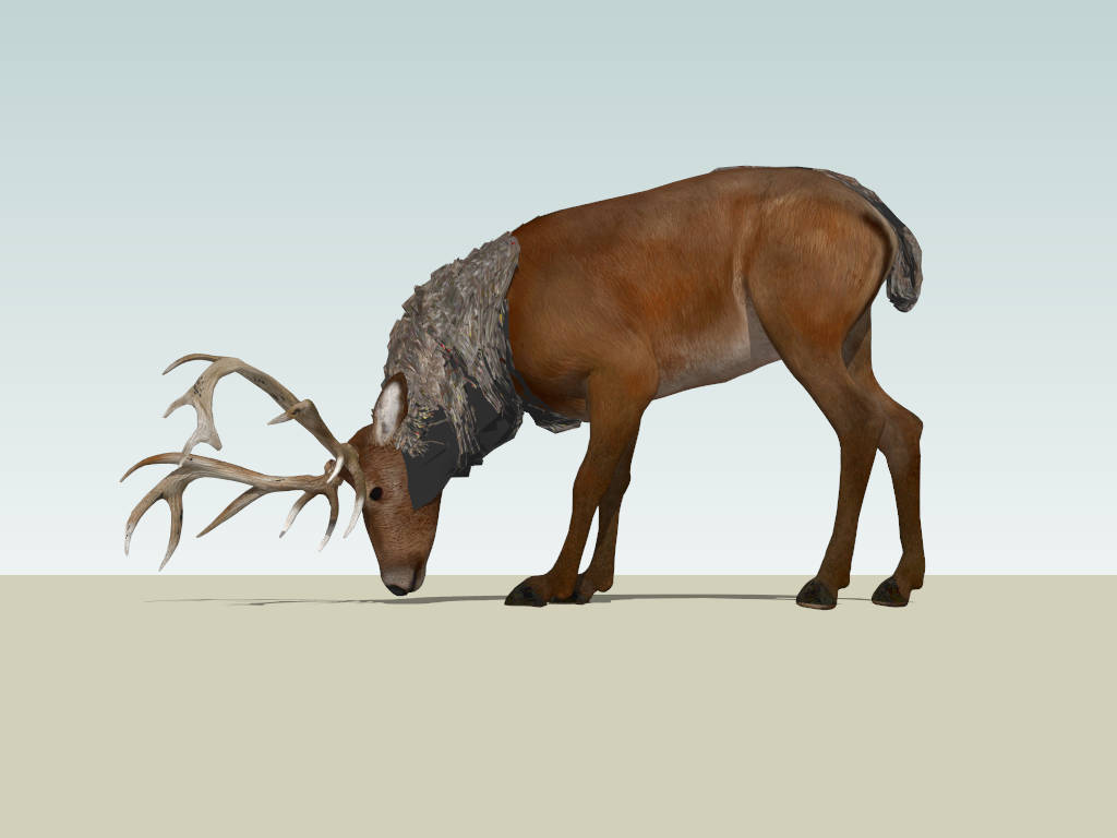 Big Bull Elk sketchup model preview - SketchupBox