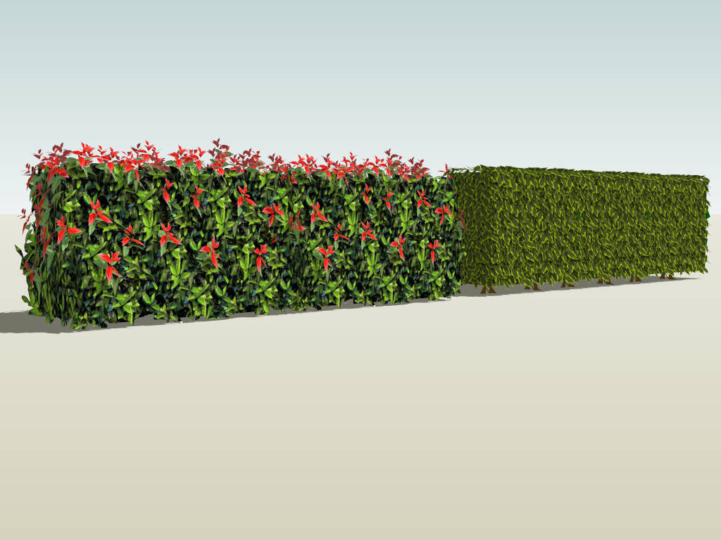 Flowering Hedge Plants sketchup model preview - SketchupBox