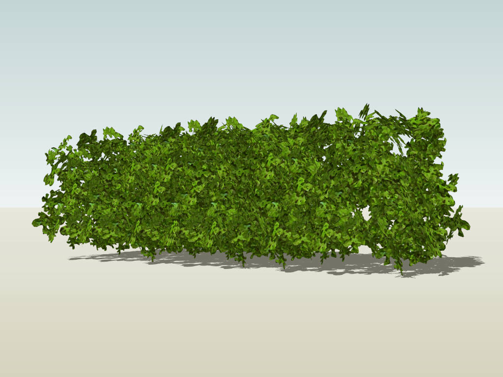 Evergreen Hedge Plants sketchup model preview - SketchupBox