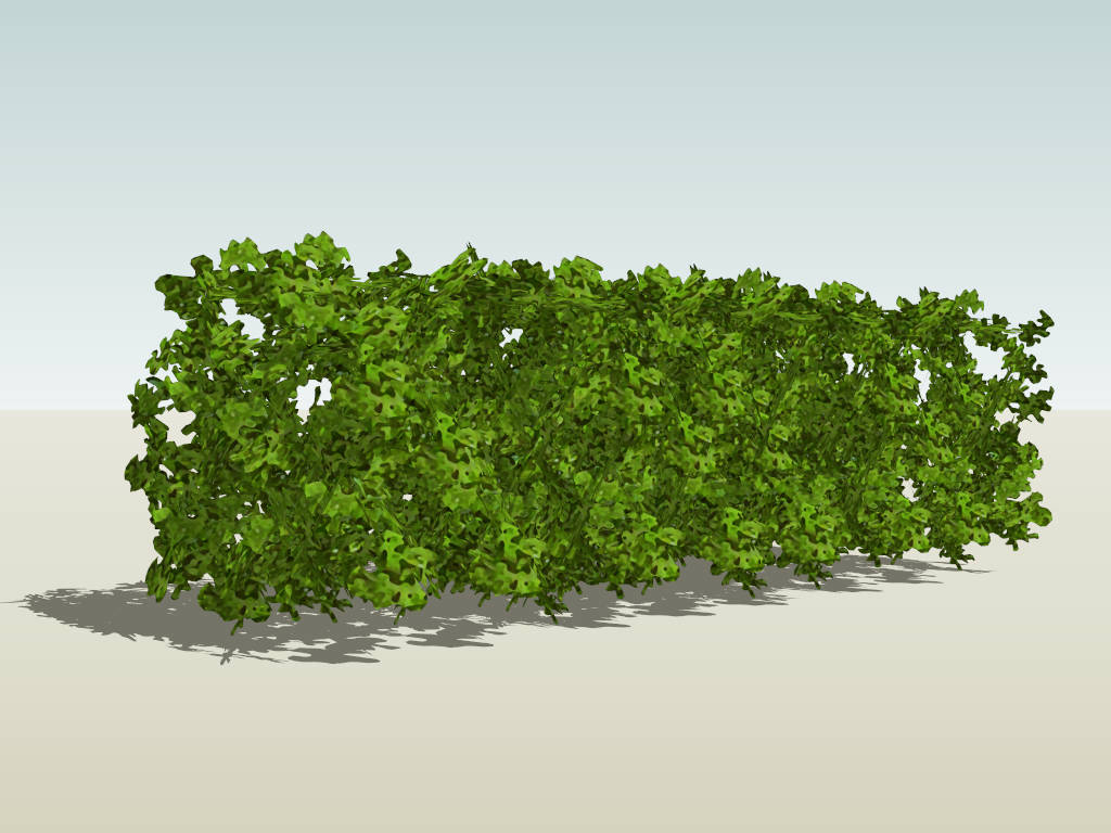 Evergreen Hedge Plants sketchup model preview - SketchupBox