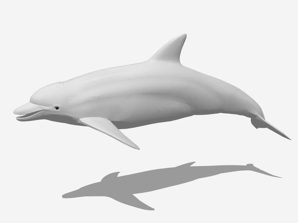 Bottlenose Dolphin sketchup model preview - SketchupBox
