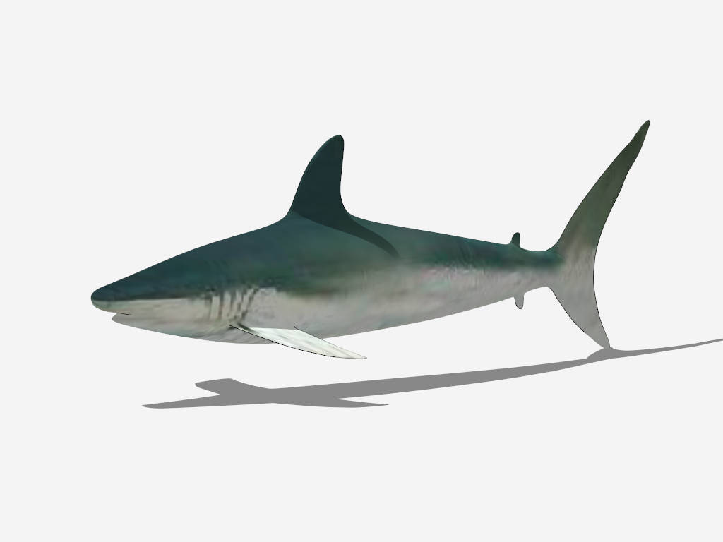 Blue Shark sketchup model preview - SketchupBox