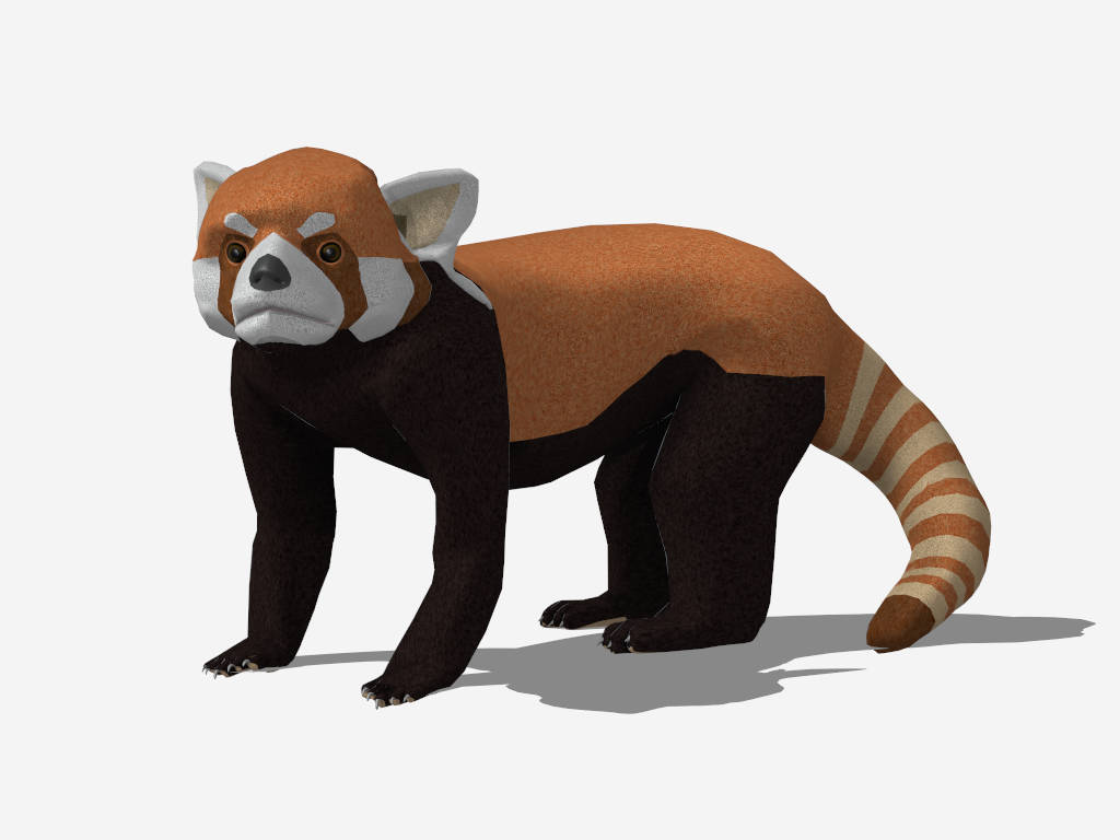 Red Panda sketchup model preview - SketchupBox