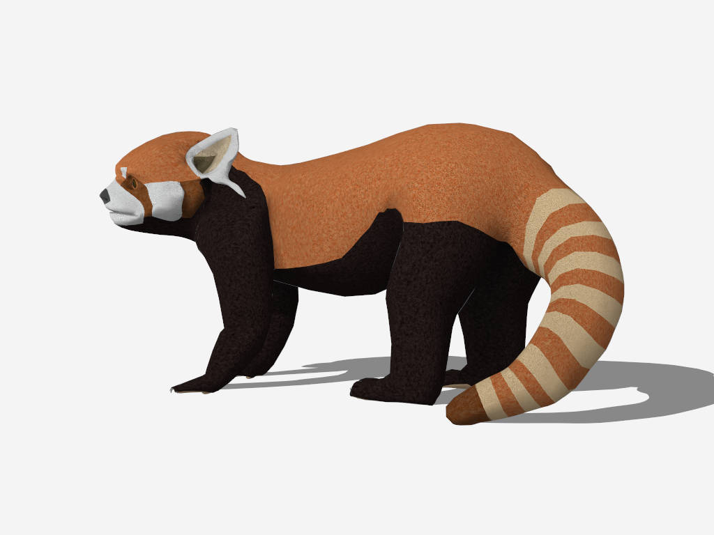 Red Panda sketchup model preview - SketchupBox