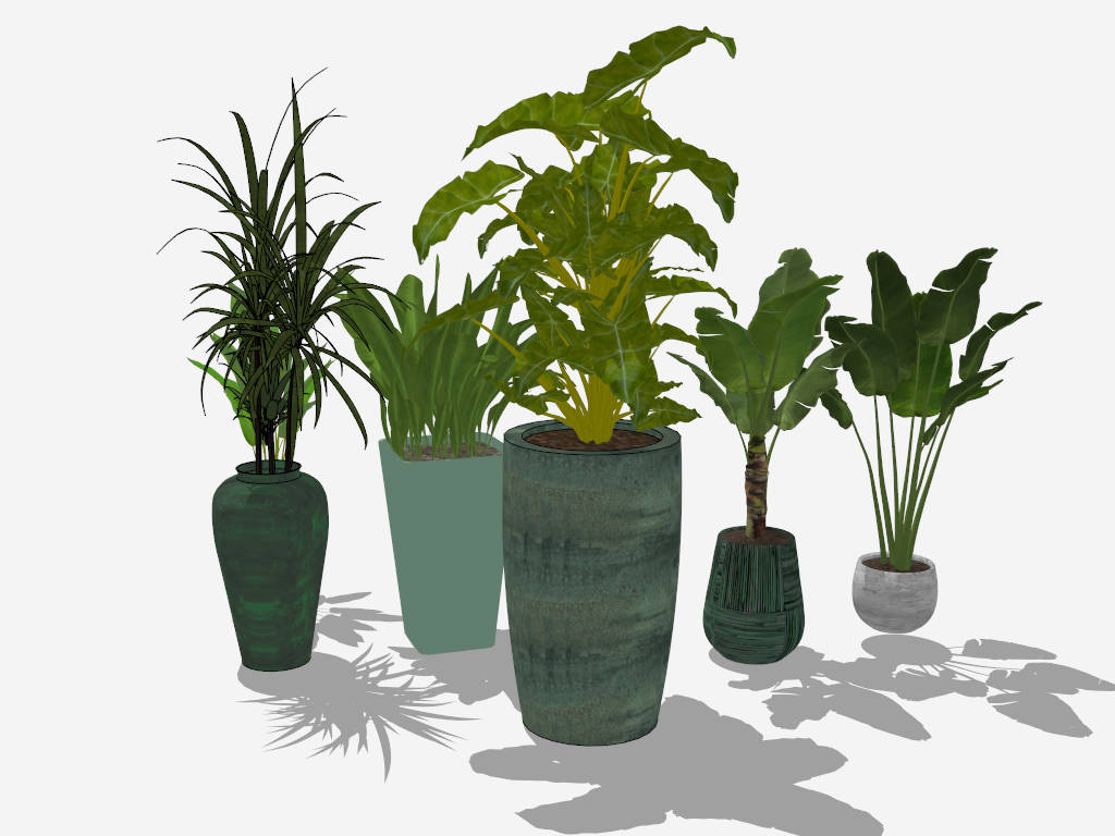 Large Indoor Potted Plants sketchup model preview - SketchupBox