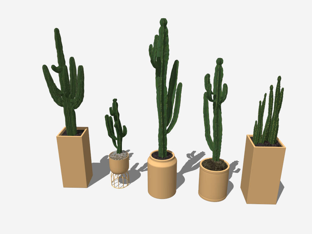 Tall Indoor Cactus sketchup model preview - SketchupBox