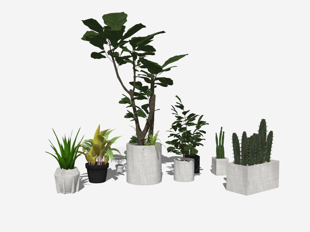 Set of Houseplants sketchup model preview - SketchupBox