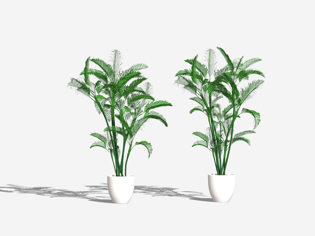 Areca Palm Potted Plant sketchup model preview - SketchupBox