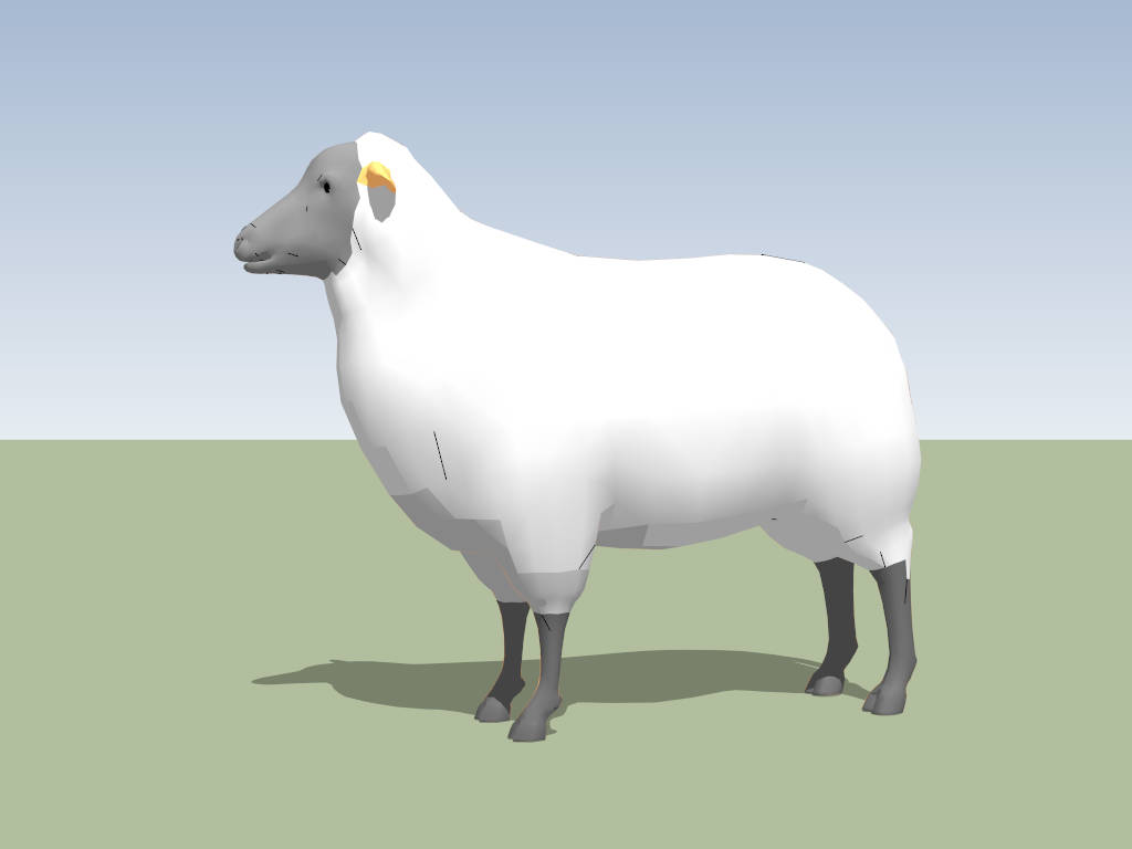 Adult Sheep sketchup model preview - SketchupBox