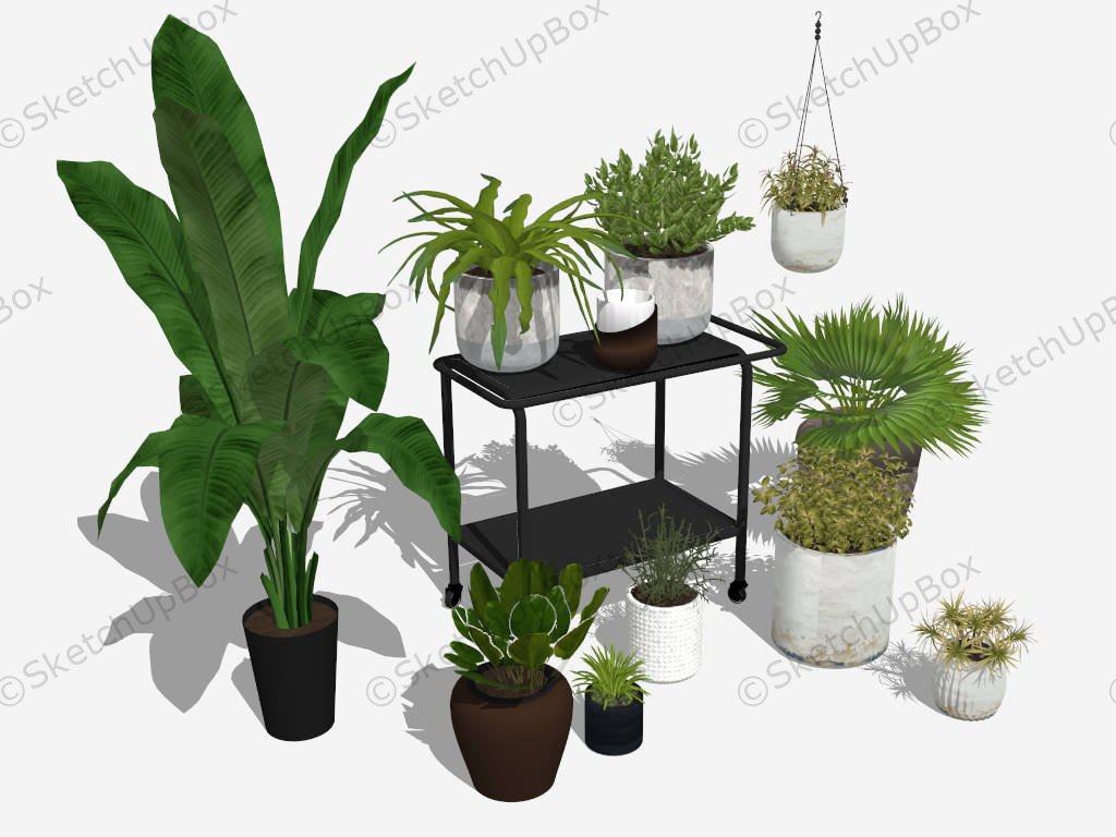 Indoor Planter Stands With Stylish Pots sketchup model preview - SketchupBox