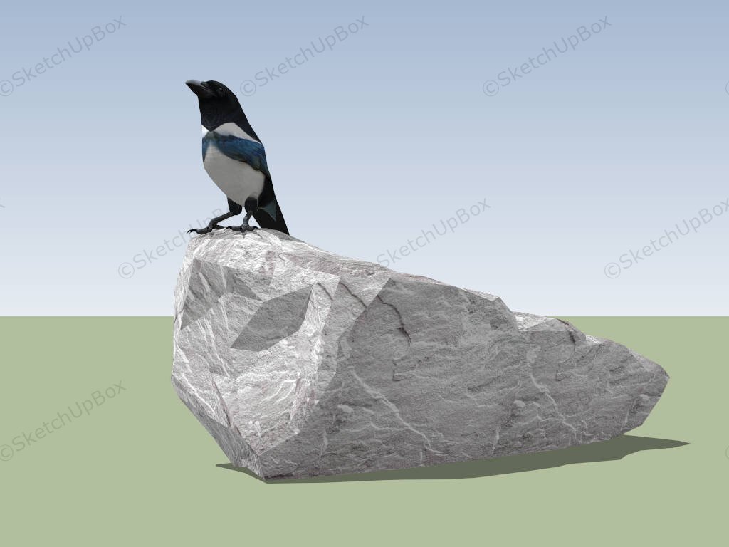Magpie Bird On Rock sketchup model preview - SketchupBox