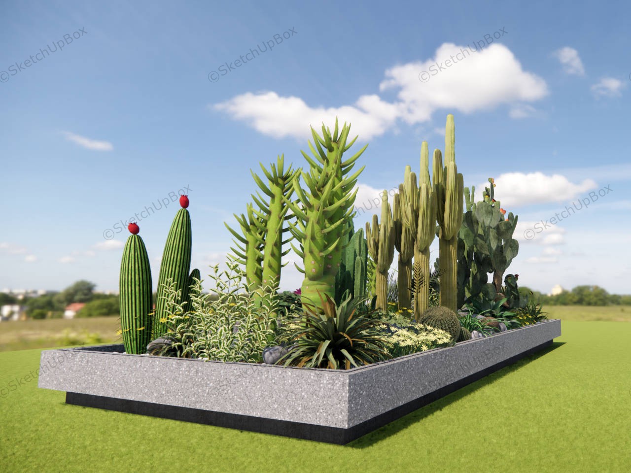 Cactus Garden Ideas Landscape sketchup model preview - SketchupBox