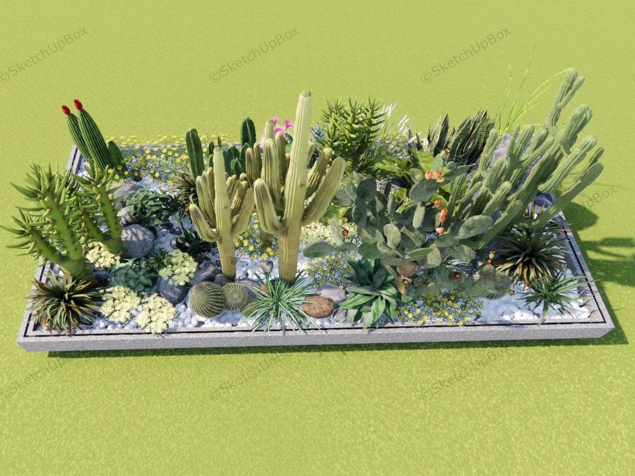 Cactus Garden Ideas Landscape sketchup model preview - SketchupBox
