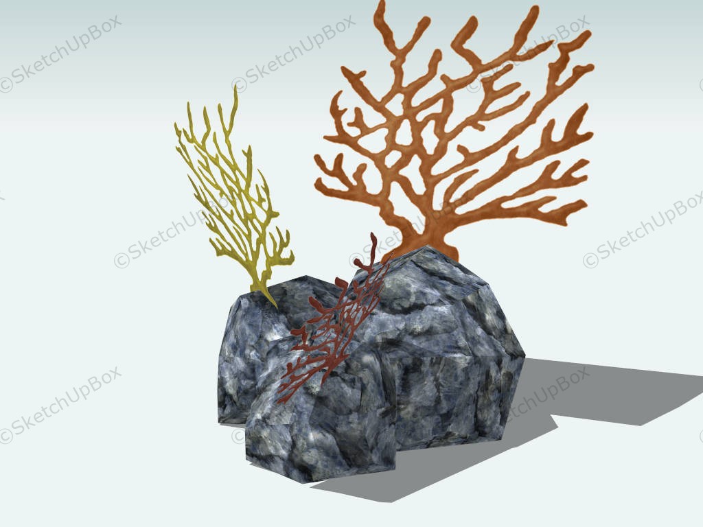 Coral Reef Rock sketchup model preview - SketchupBox