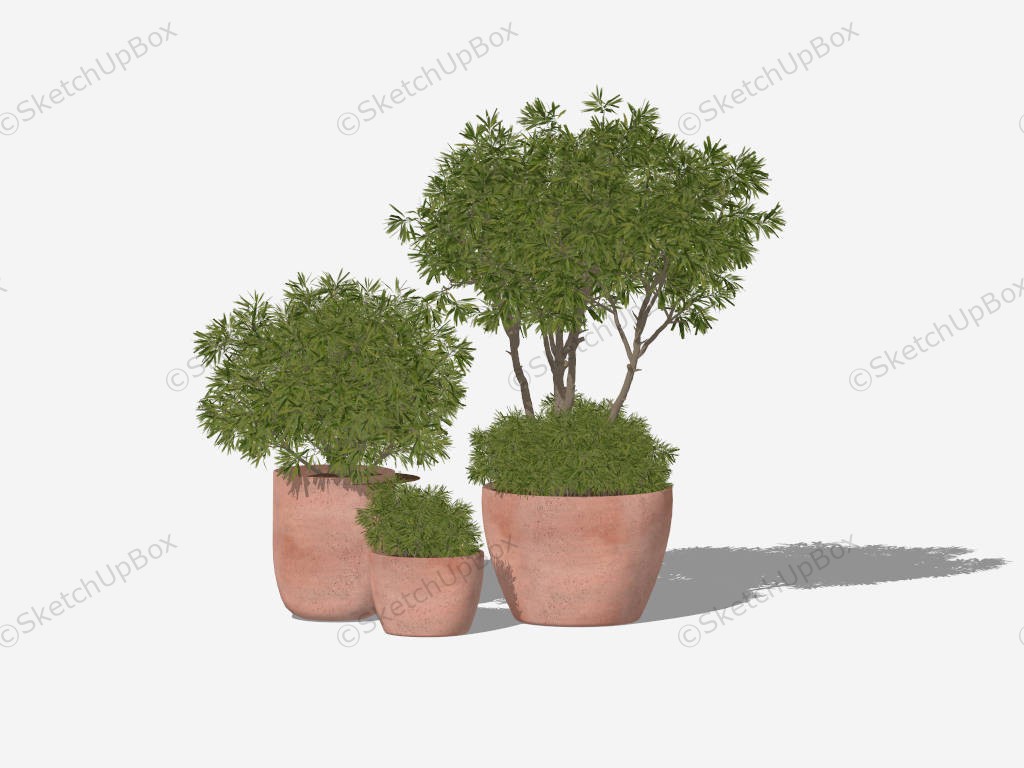 Large Terracotta Plant Pots sketchup model preview - SketchupBox