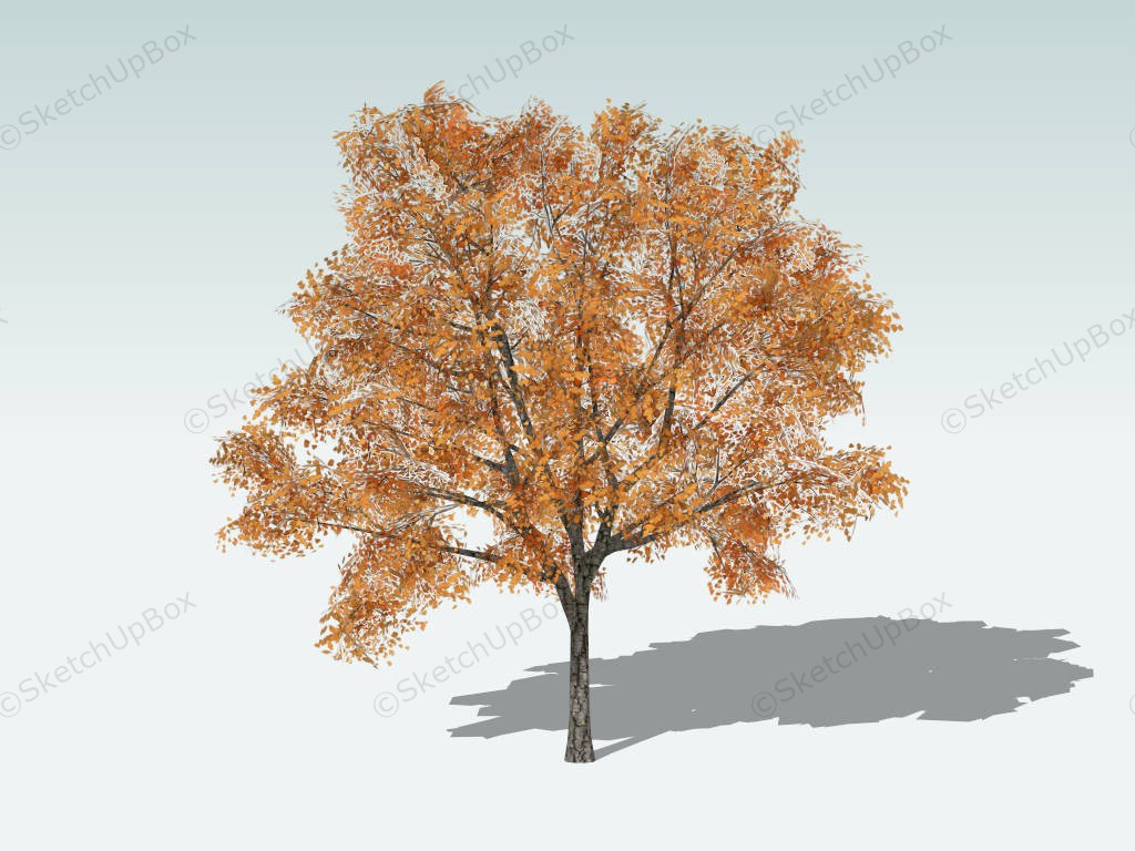 Purple Ash Tree sketchup model preview - SketchupBox