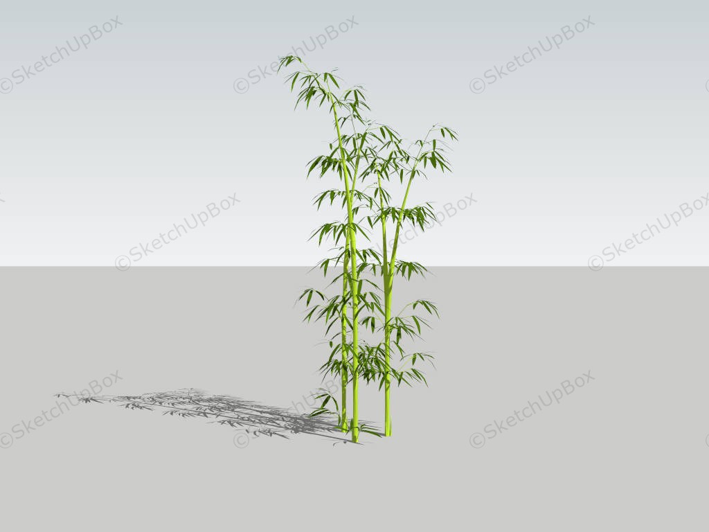 Garden Bamboo Plants SketchUp 3D Model .skp File Download - SketchupBox