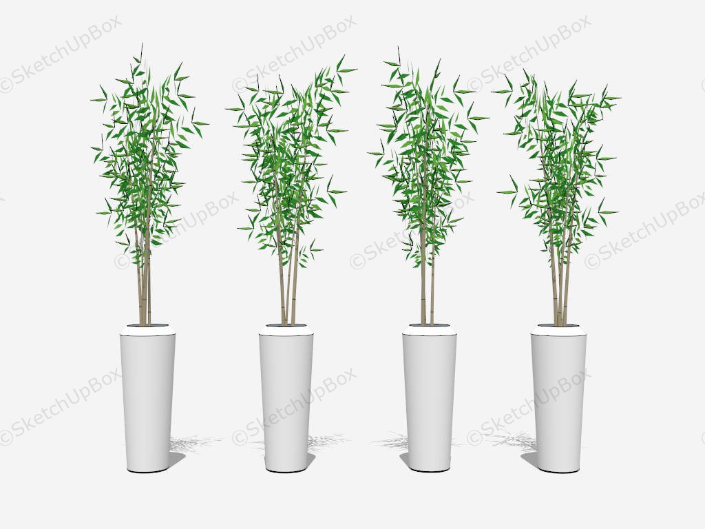 Indoor Bamboo Tree Plant sketchup model preview - SketchupBox