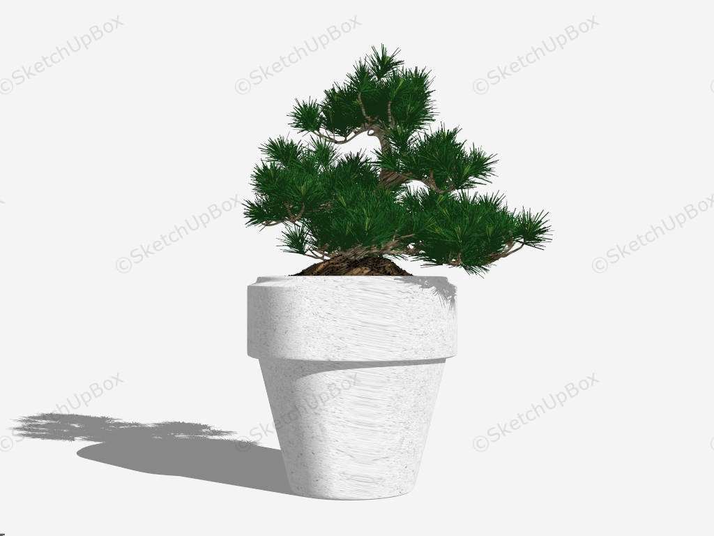 Pine Bonsai Tree sketchup model preview - SketchupBox