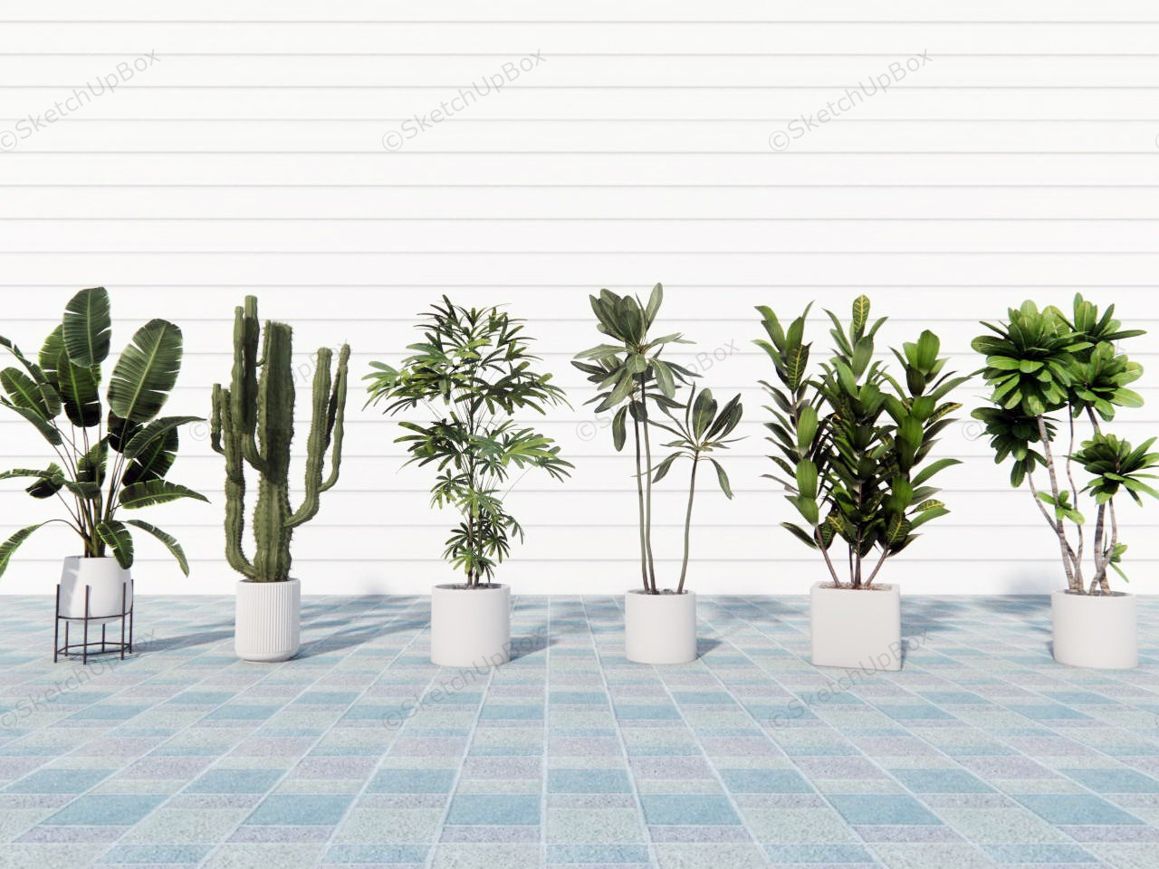 6 Large And Tall Houseplants sketchup model preview - SketchupBox