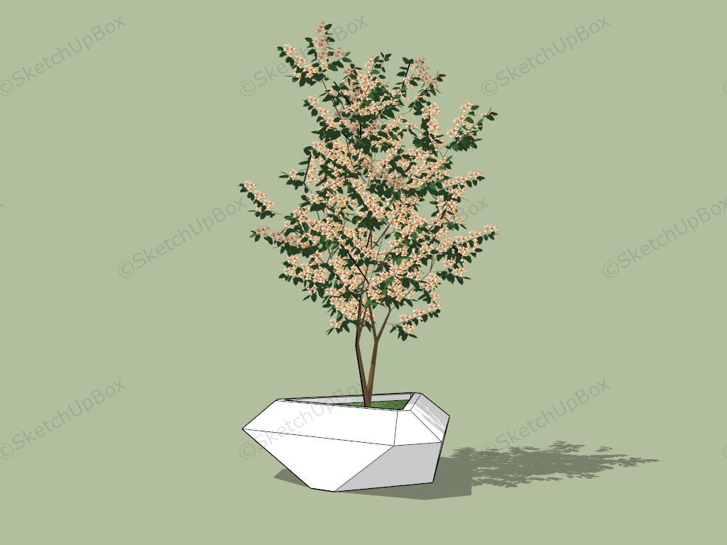 Flower Bed Around Tree sketchup model preview - SketchupBox