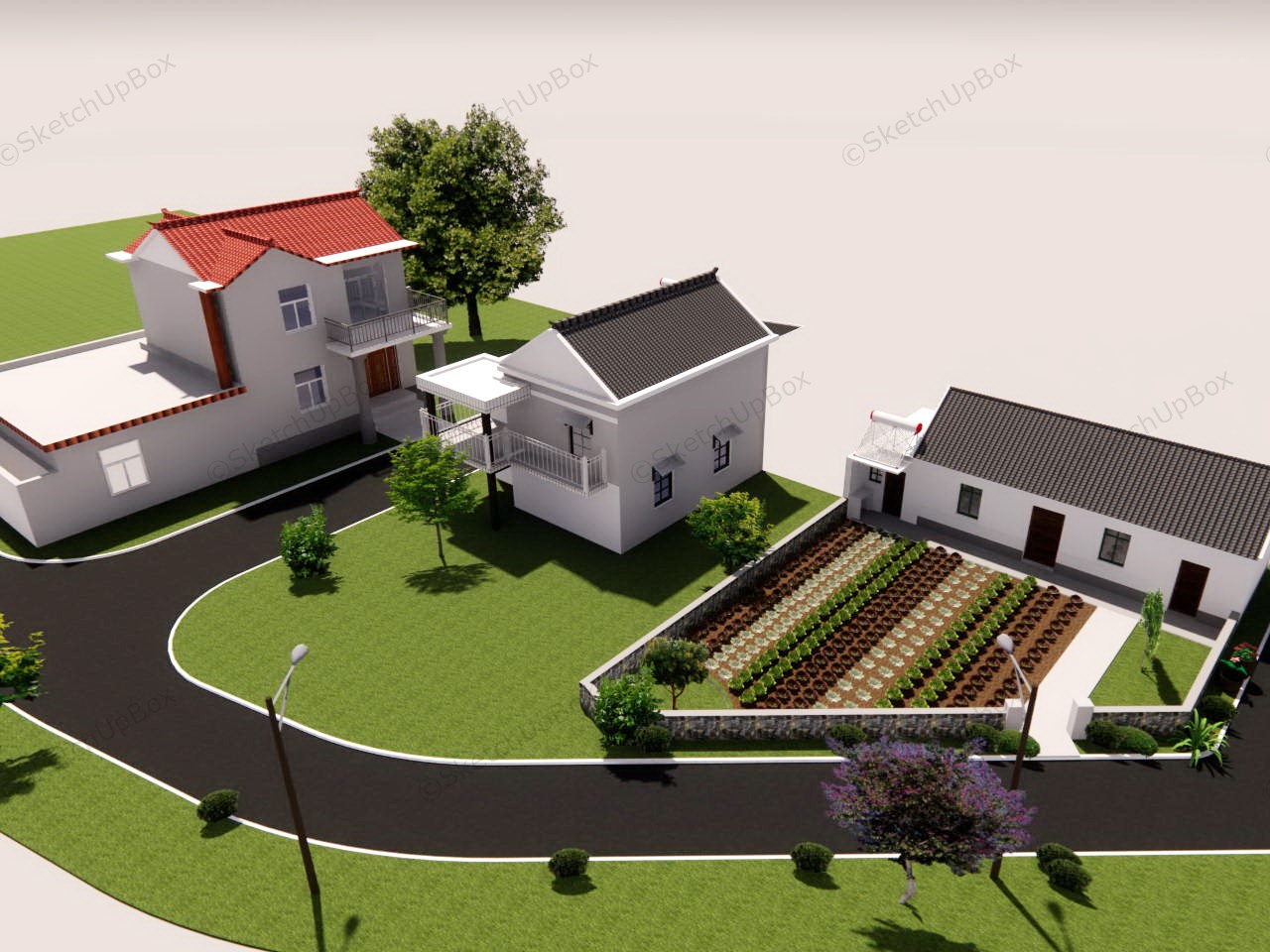 Modern House Design In Village sketchup model preview - SketchupBox