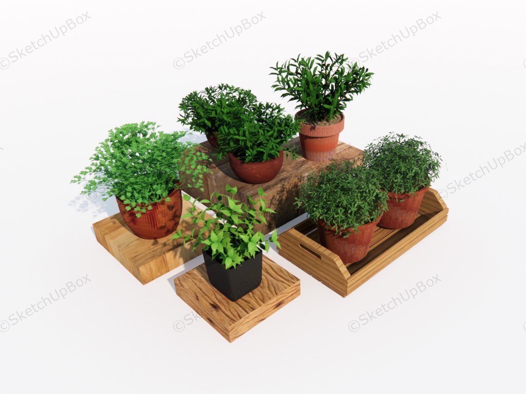 Herb Garden Plants sketchup model preview - SketchupBox