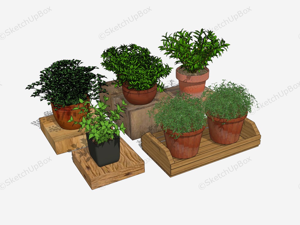 Herb Garden Plants sketchup model preview - SketchupBox