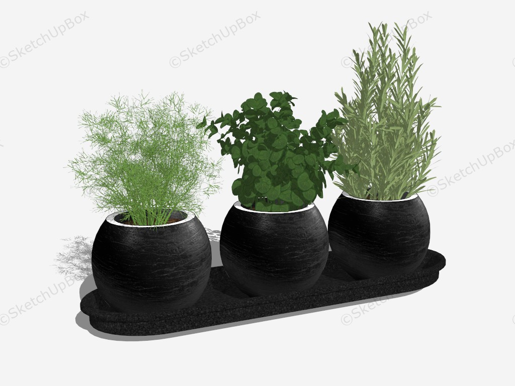 Indoor Herb Garden Plants sketchup model preview - SketchupBox
