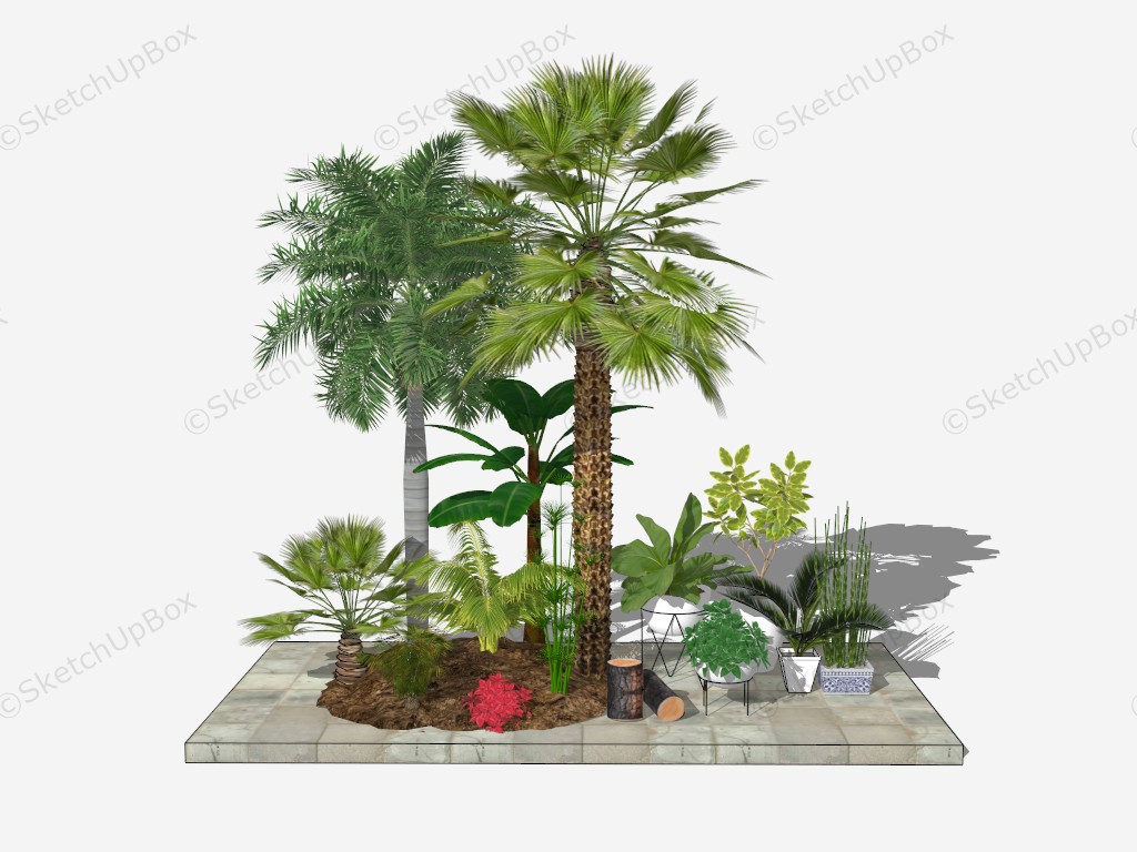Tropical Trees And Planters sketchup model preview - SketchupBox