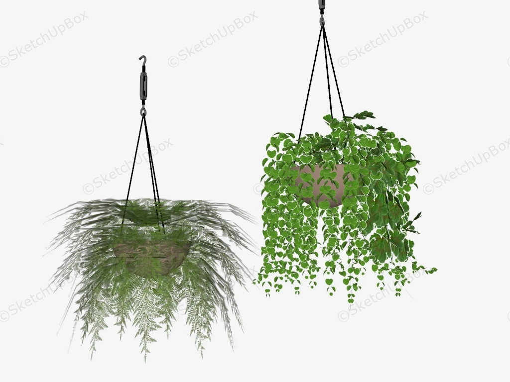 Hanging Indoor Houseplants sketchup model preview - SketchupBox