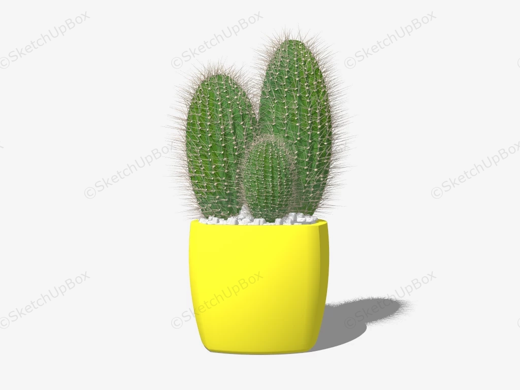 Cactus In Yellow Pot sketchup model preview - SketchupBox