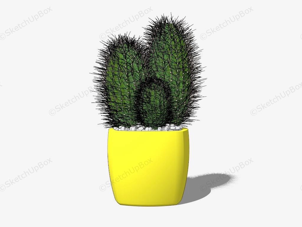 Cactus In Yellow Pot sketchup model preview - SketchupBox