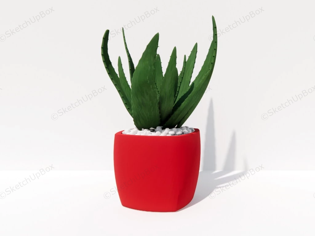 Potted Aloe Plant sketchup model preview - SketchupBox