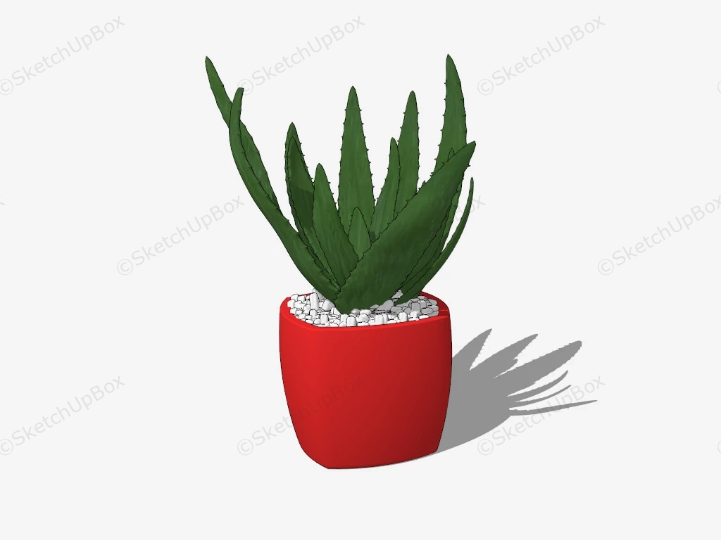 Potted Aloe Plant sketchup model preview - SketchupBox
