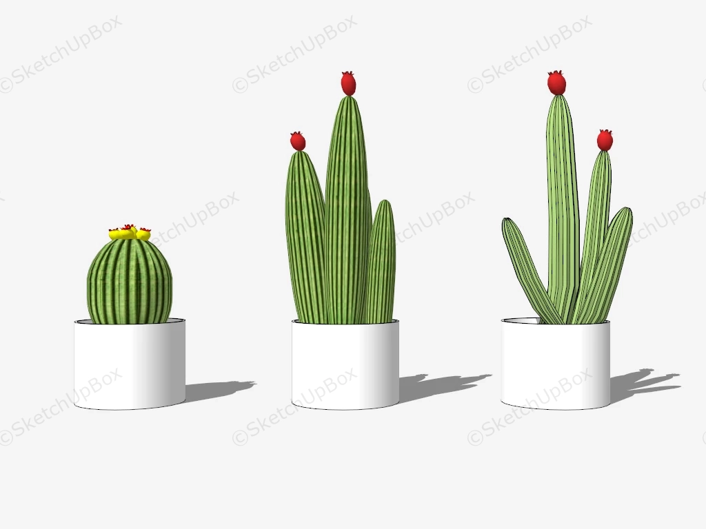 Set Of Pot Cactus Plant sketchup model preview - SketchupBox