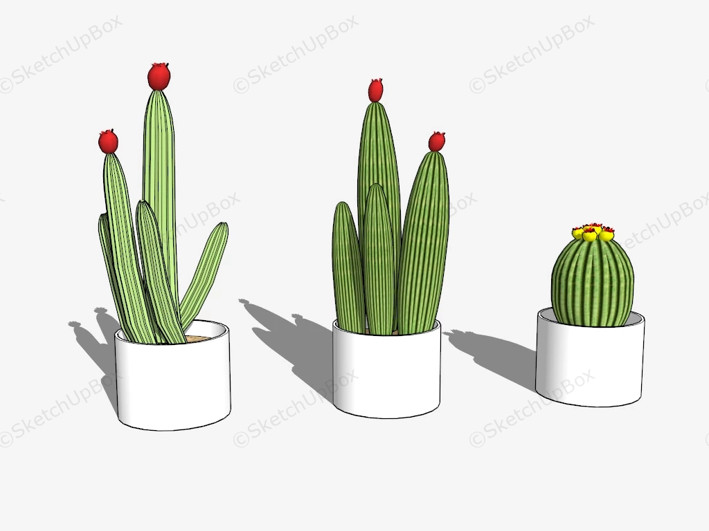 Set Of Pot Cactus Plant sketchup model preview - SketchupBox