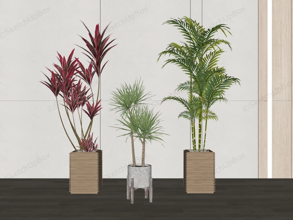 Potted Cordyline Dracaena Bamboo Palm sketchup model preview - SketchupBox