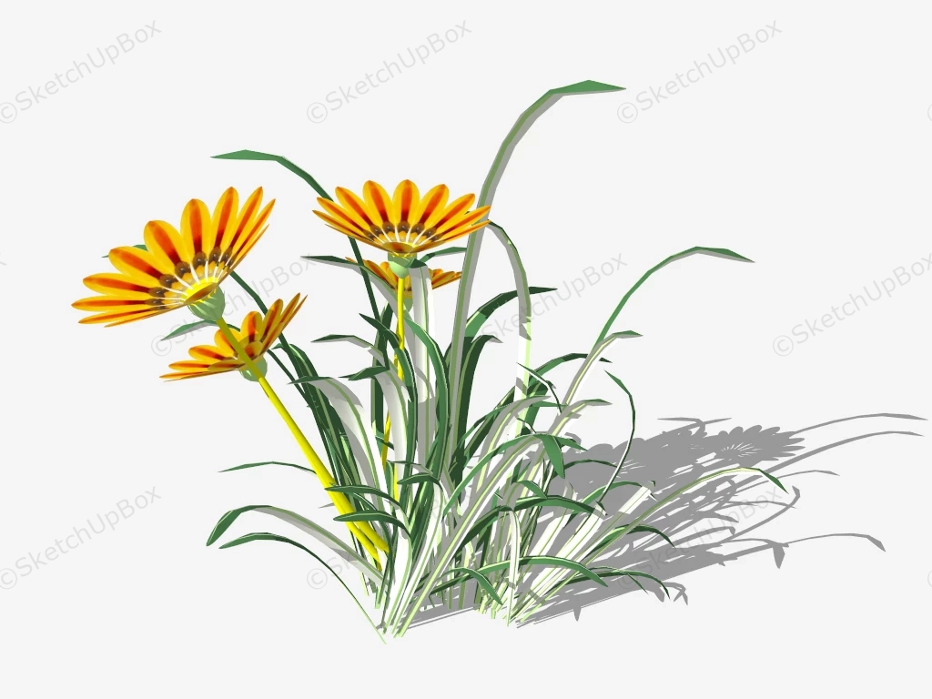 Orange Gazania Flower sketchup model preview - SketchupBox