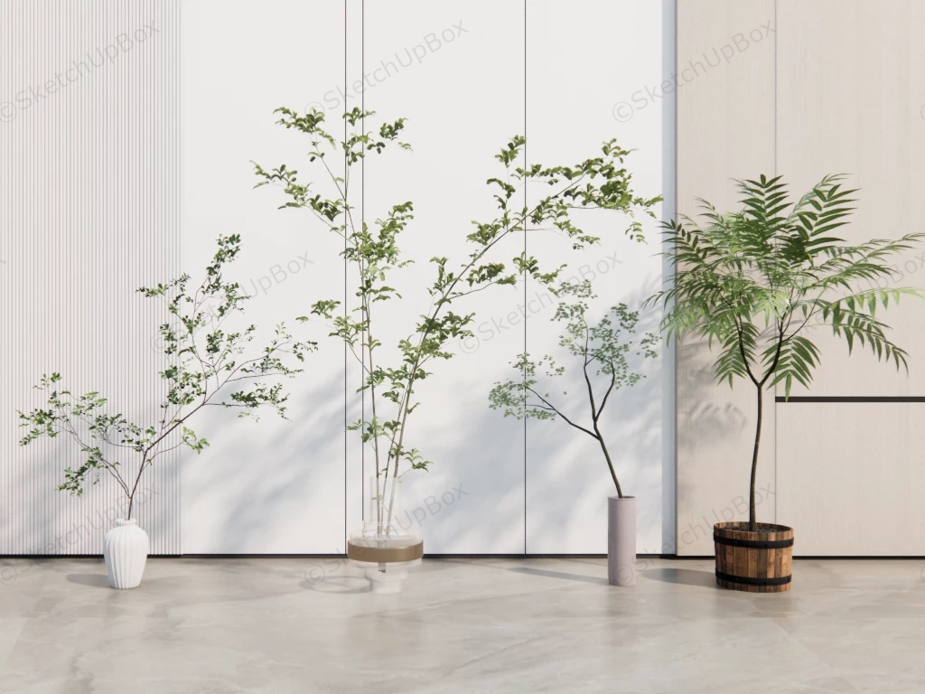 Indoor Ornamental Plants sketchup model preview - SketchupBox
